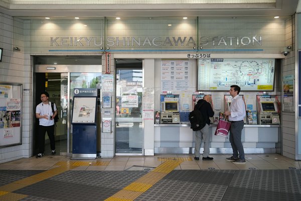 What unique wildlife experiences can you have while visiting the UK, and where can you find them?